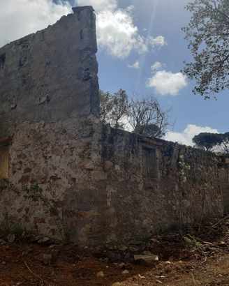 Terreno / Bosco tra Cefalù e Gratteri
