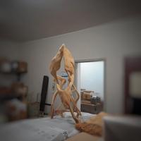 scultura radice del Madagascar , collezione Maoli