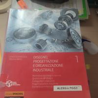DISEGNO,  PROGETTAZIONE E ORG.  INDUSTRIALE