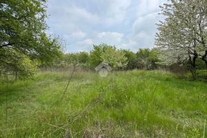 TER. RESIDENZIALE A RIVALTA DI TORINO