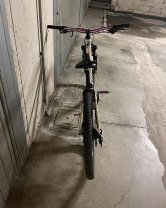 Bici specialized