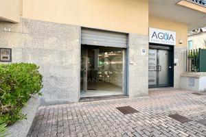 Negozio Mugnano di Napoli [MLF02ACG]