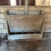 Mangiatoie per suini magronaggio