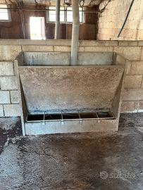 Mangiatoie per suini magronaggio