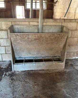 Mangiatoie per suini magronaggio