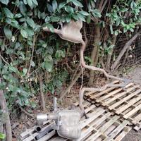 marmitta completo Audi A6