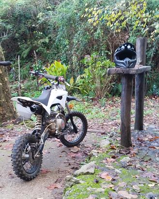 pit bike kayo 125