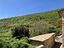 Immagine 19