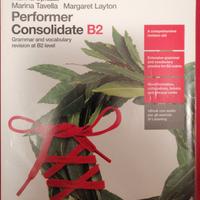 Performer Consolidate B2