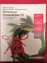 Performer Consolidate B2