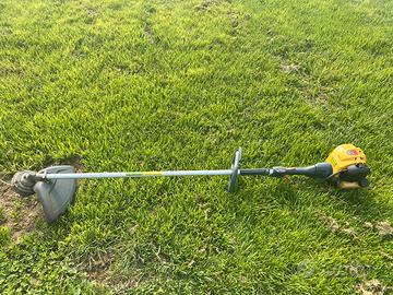 Decespugliatore Alpina