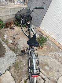Bici da passeggio da 24 “