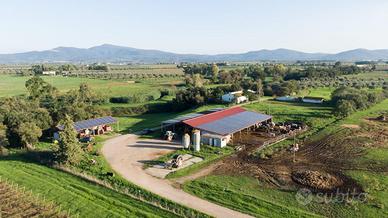 Azienda agricola biologica zootecnica
