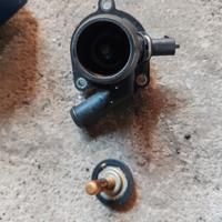 termostato motore 