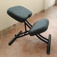 Sedia posturale Ikea EIFRED