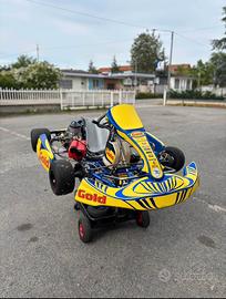 Kart kz