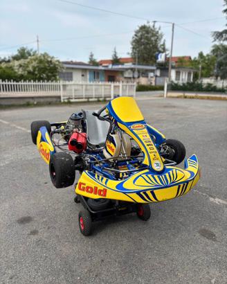Kart kz