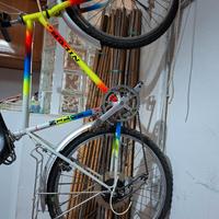 Bicicletta mountain bike