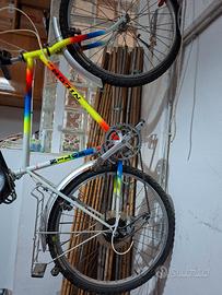 Bicicletta mountain bike