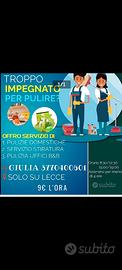 Pulizie domestiche
