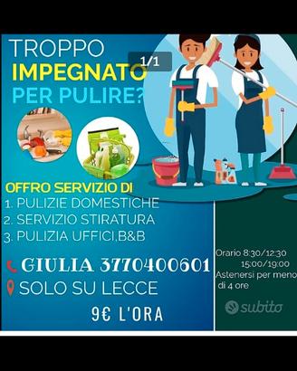 Pulizie domestiche