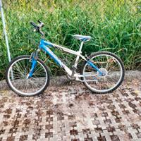 bici adatta a bambino o ragazzino 