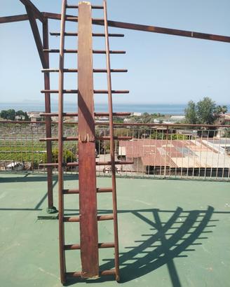 Scala Svedese palestra