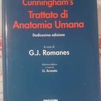 Libri Universitari e Dizionario 