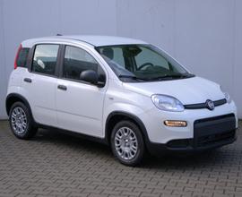 FIAT Panda 1.0 FireFly S&S Hybrid 70cv KM0