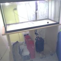 Acquario 230 litri CAYMAN 110 PROFESSIONAL