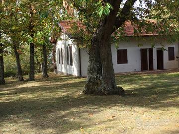 VILLA Monte Amiata