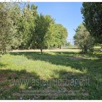Terreno Agricolo Quarrata [A4344987]