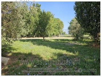 Terreno Agricolo Quarrata [A4344987]