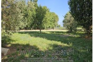 Terreno Agricolo Quarrata [A4344987]