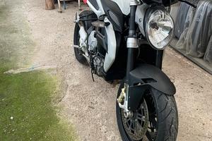 Vedo mv augusta brutale 800