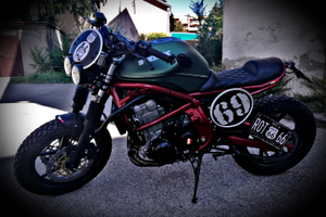 Kawasaki er6n Scrambler