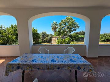 appartamento indipendente con giardino 