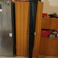 Canna Da Pesca Carpa Siluro e Sturione 