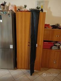 Canna Da Pesca Carpa Siluro e Sturione 