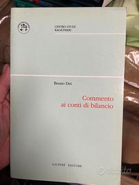 Commento ai conti di bilancio - libro