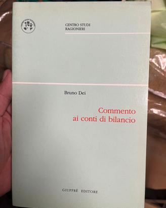 Commento ai conti di bilancio - libro