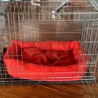 Kennel usato Arcaplanet