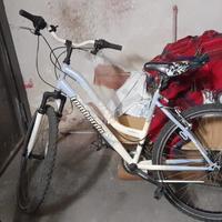 Bici Mtb donna  Lombardo