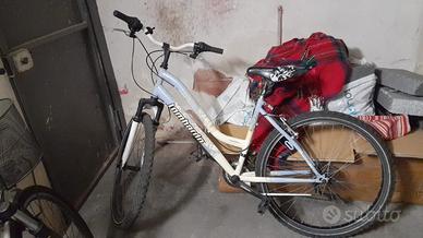Bici Mtb donna  Lombardo