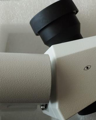 Zeiss Tubo trinoculare 425520-9020