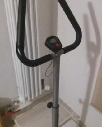 Stepper palestra