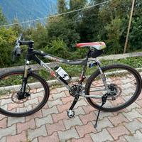 Bici sintesi mountain bike