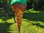 Immagine 4