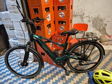 bicicletta ebaic 
