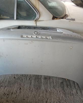 Mercedes Slk R170 Bauliera